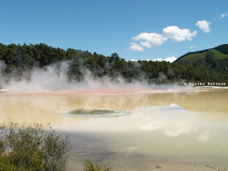 Natrlich beheizter See in der Gegend von Wai-O-Tapu