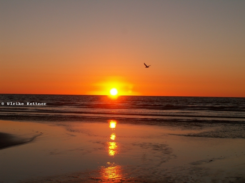 Sonnenuntergang am Strand von Himatangi