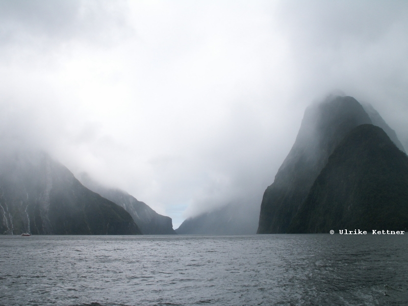 Der Milford Sound auf der Sdinsel