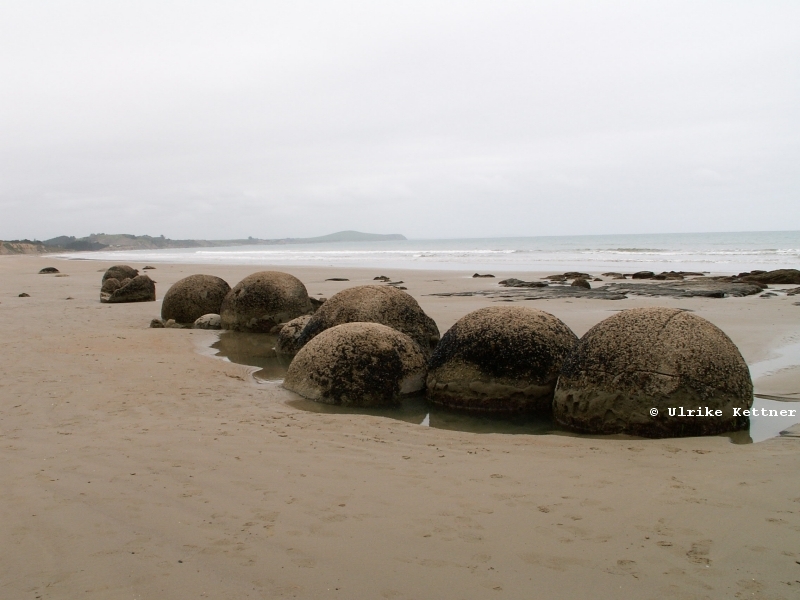 Die Moeraki Boulders: sie werden aus der Steilkste gesplt und sind innen hohl